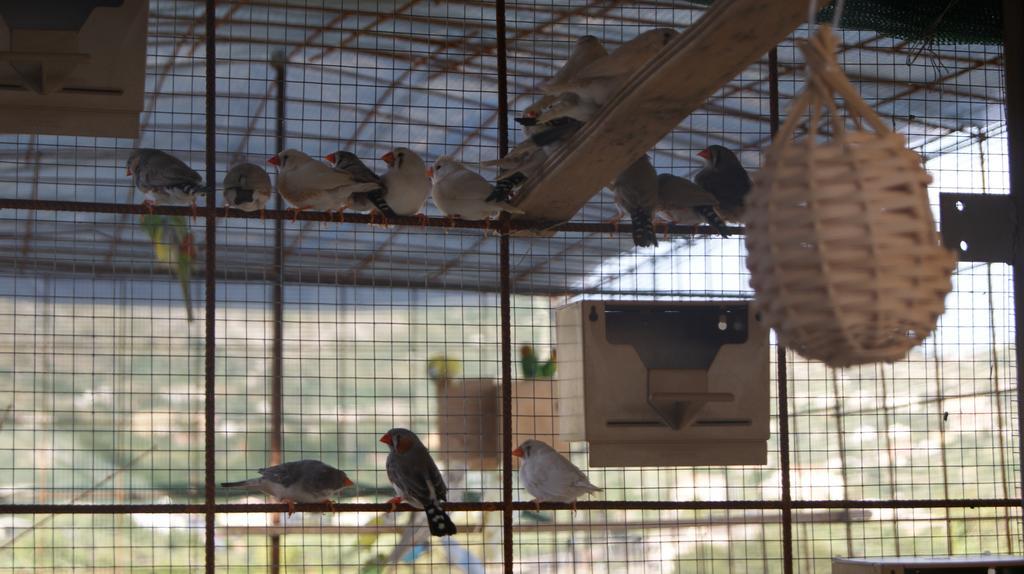 B&B Eyexei Domus Agrigento Kültér fotó